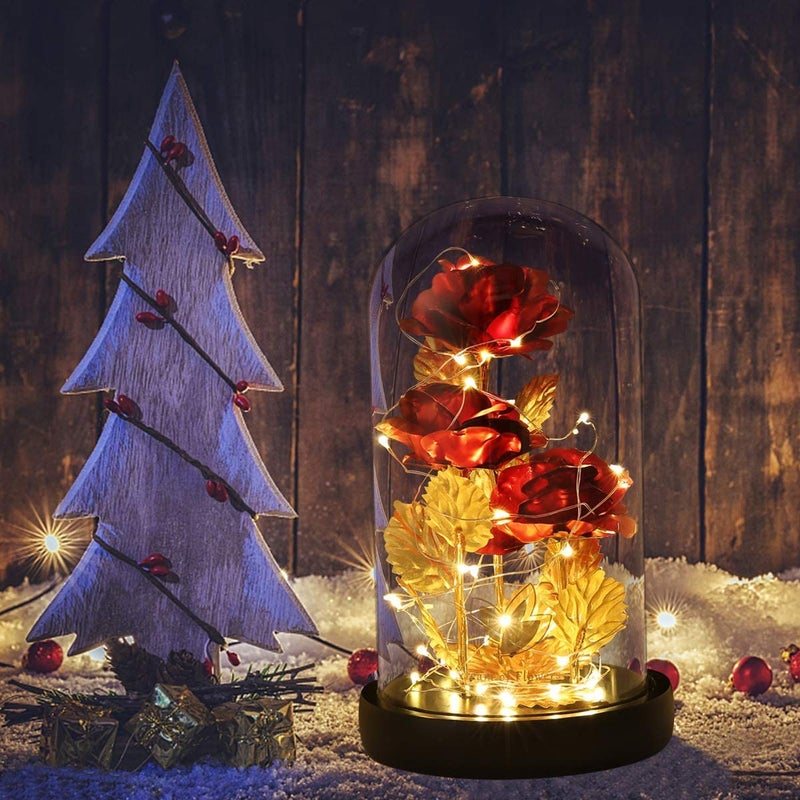 Dream of Flowers Beauty and The Beast Rose,Preserved Flowers Bouquets Gifts,Light Up Rose Flower in Glass Dome,Birthday Gifts for Women,Mom,Girlfriend Wife Anniversary,Valentines,Thanksgiving,Christmas,Wedding - Image 3